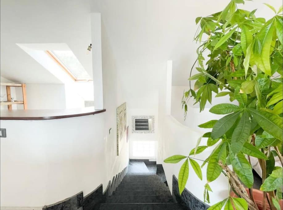 Mansarda Vista Mare A Zinola Apartment Savona Exterior foto